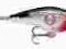 Rapala Clackin Crank 7 cm. Wolno Wypływa