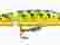 Rapala Jointed Deep Husky Jerk 12cm / 14g / Nieton