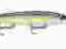 Rapala Down Deep Husky Jerk 12cm /15g/DHJ12 HSD