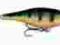 RAPALA SHALLOW 7CM SHAD RAP SSR07 P