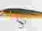 Rapala Down Deep Husky Jerk 10cm /11g/DHJ10 TSD