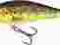 Salmo Executor 5 cm. Pływający IEX5SR T