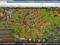 Konto THE SETTLERS ONLINE poziom 50 słoneczny gród