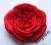 Spinka do włosów czerwona róża, kwiat we włosy