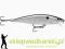 Wobler Rapala Flat Rap 10cm-F/12g, Kolor: S