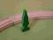 Drzewko zielone dekoracja makiety kolejki CHOINKA