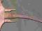 BARDZO STARY KLUCZ