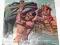 TUROK SON OF STONE #119 WHITMAN 1979
