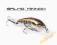 Wobler Salmo MINNOW PERCH 5cm/3g floating
