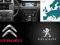 Mapy Europy CITROEN eMyWay PEUGEOT WIP Nav+ (RT6)