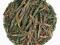 herbata NEWBY - zielona sencha - luz 125g - puszka