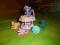 My little pony mały kucyk Starsong bdb! +gratis!!!