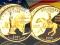 USA Quarters uszlachetnione 24-karatowym złotem