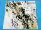 Mike Rutherford - Smallcreep's Day  USA VG+