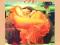 Music for Relaxation Chapman, Miles, Rhodes
