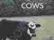 THE COWS (QUARTERNOTE CHAPBOOK) Lydia Davis