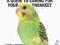 BUDGIES: A GUIDE TO CARING FOR YOUR PARAKEET