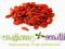 GOJA. JAGODY GOJI suszone 100g - REWELACJA