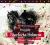 PRZYGODY SHERLOCKA HOLMESA - A.C. DOYLE - CD WAB