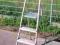 Drabina aluminiowa SOLIDNA 3 stopnie + podest