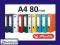 Segregator Segregatory HERLITZ A4 80mm Q.file 80