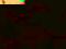 43 MONETY AUTOMAT  Wolni farmerzy zielone imperium