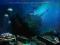Derek Sherinian - Oceana / VINYL LP / NOWOŚĆ