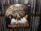 bone thugs-n-harmony - strength &amp; loyalty 2lp