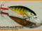 Wobler SALMO PERCH DR 8cm/12,5g + PRZYPON