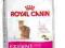 ROYAL CANIN Exigent 10kg + ZABAWKA !! 24 H!!