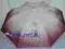 Parasol damski ZEST- 23745, automat, gwar. 2 lata.