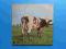 PINK FLOYD ATOM HEART MOTHER LP JAPAN PRESS ODEON