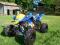 Quad Bashan Bemi Germany 200