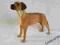 PIES RODEZYJSKI RIDGEBACK PSY PORCELANA LEONARDO