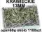 SZPILKI DO CEKIN KRAWIECKIE 13mm 50g 1100szt 0972