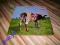 Pink Floyd Atom Heart Mother UK 9xlabel Unikat