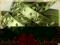 Wstążka satynowa gałązki zielona 10 mm, 1 m