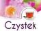 CZYSTEK --- dr. GUNTHER HARNISCH