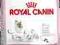 Royal Babycat 34 4kg (5X800g) PROMOCJA!!!W-wa.