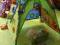 TOMY DOMEK NAMIOT EDUKACYJNY DISCOVERYcharytatywna