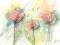 Akwarela DELIKATNOŚĆ KWIATÓW - 24x18 cm