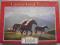 PUZZLE CASTORLAND 1000 wzór: HORSES IN THE SUNRICE
