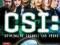 CSI: LAS VEGAS PL PC WEJHEROWO