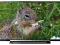 TV SONY KDL-40R450BBAEP LED FULL HD USB HDMI