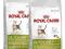 ROYAL CANIN OUTDOOR 10KG, ŁÓDŹ BRUKOWA 27