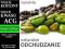 ZIELONA KAWA Green Coffee EXTRA SLIM 1KG dużo ACG