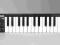 AKAI LPK 25 Klawiatura MIDI BCM