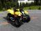 quad quadzilla 250cc