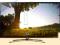 Smart TV LED 3D Samsung UE40F6400 Wi-Fi wbudowane