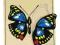 Puzzle Drewniane  Motyl Pomoce Montessori Edukacja